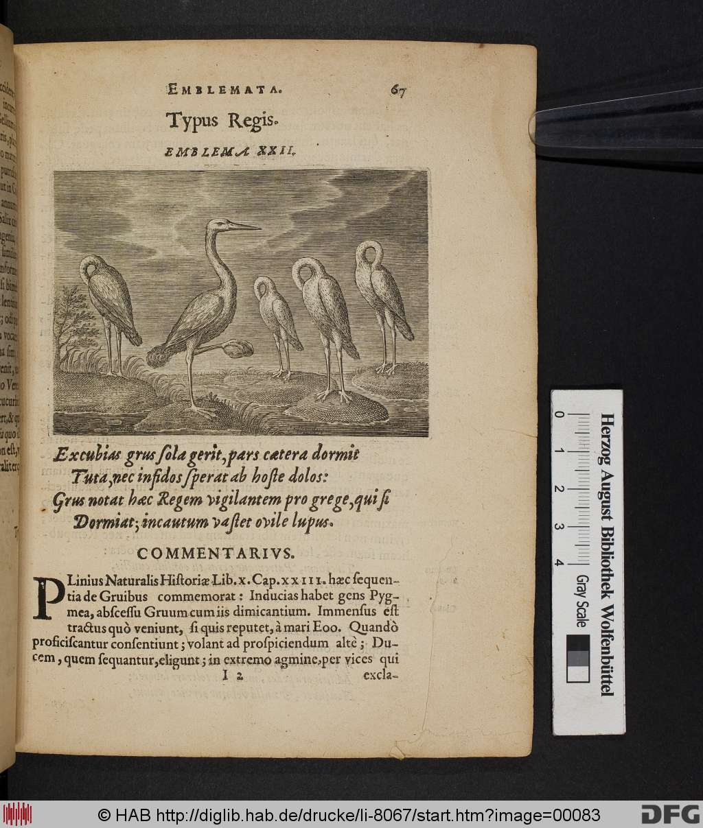 http://diglib.hab.de/drucke/li-8067/00083.jpg