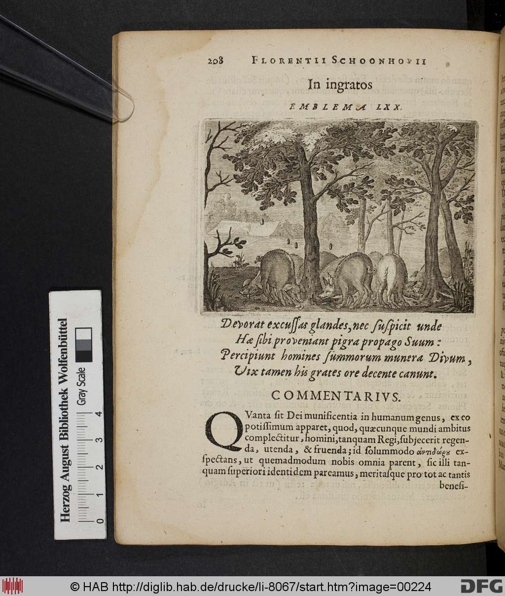 http://diglib.hab.de/drucke/li-8067/00224.jpg