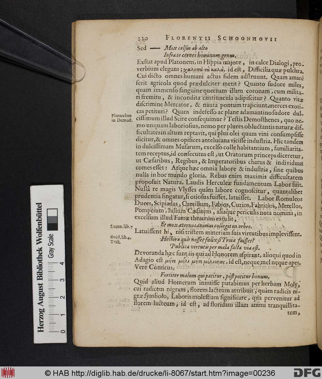 http://diglib.hab.de/drucke/li-8067/00236.jpg