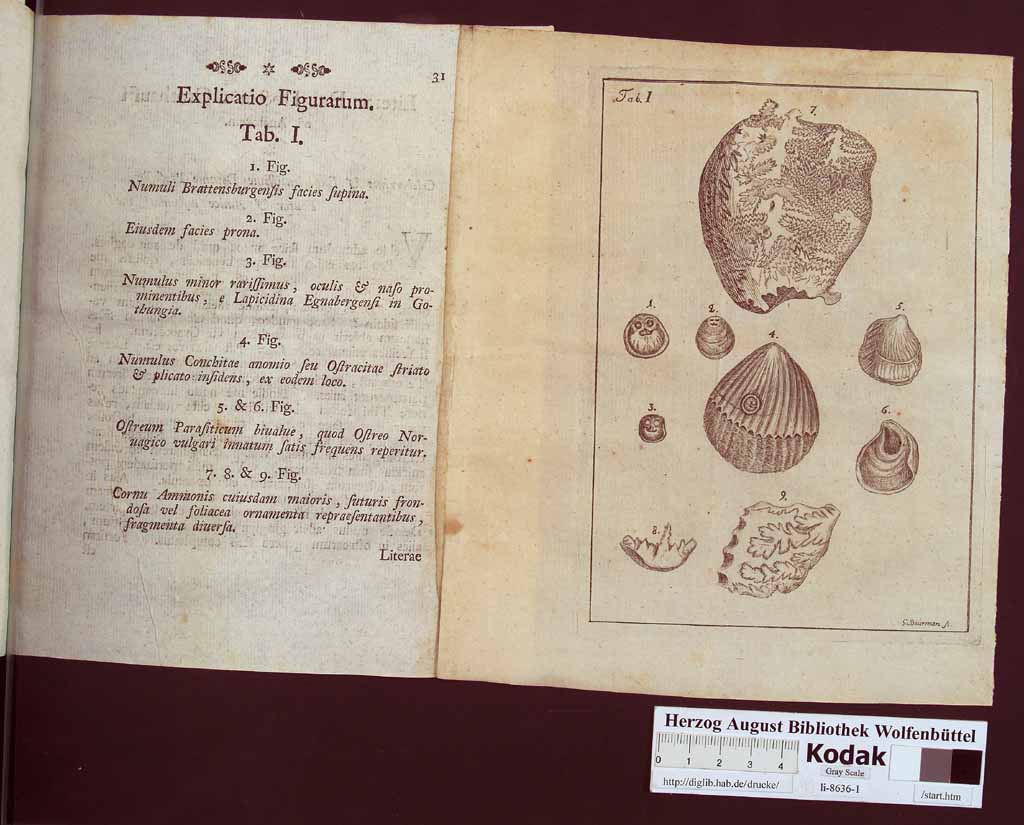 http://diglib.hab.de/drucke/li-8636-1/00045.jpg