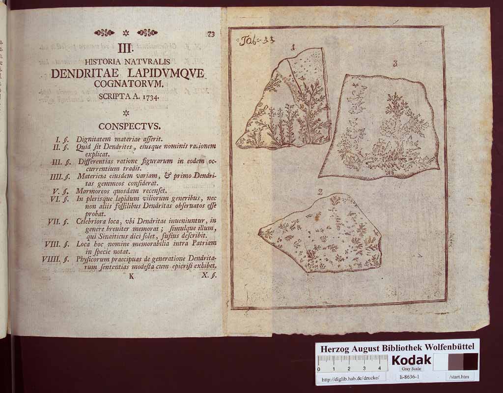 http://diglib.hab.de/drucke/li-8636-1/00087.jpg