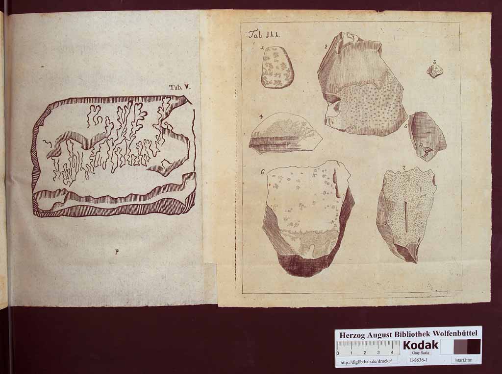 http://diglib.hab.de/drucke/li-8636-1/00120a.jpg