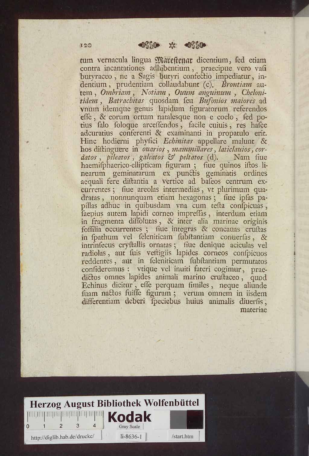 http://diglib.hab.de/drucke/li-8636-1/00128.jpg
