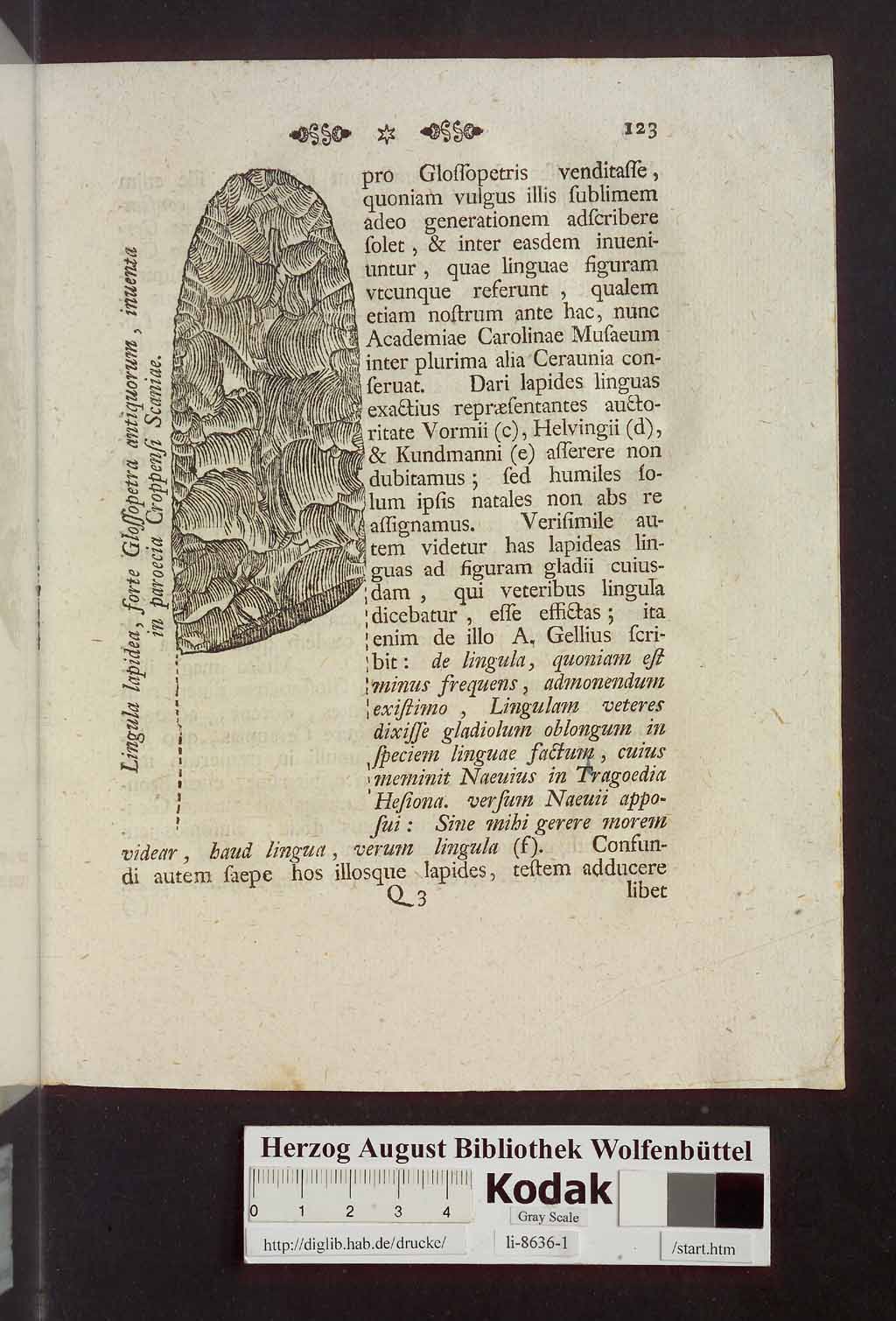 http://diglib.hab.de/drucke/li-8636-1/00131.jpg