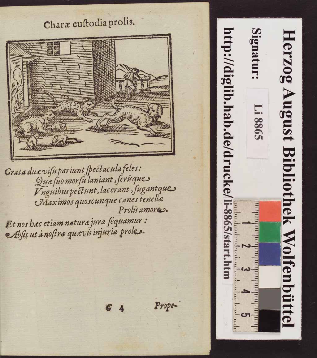 http://diglib.hab.de/drucke/li-8865/00156.jpg