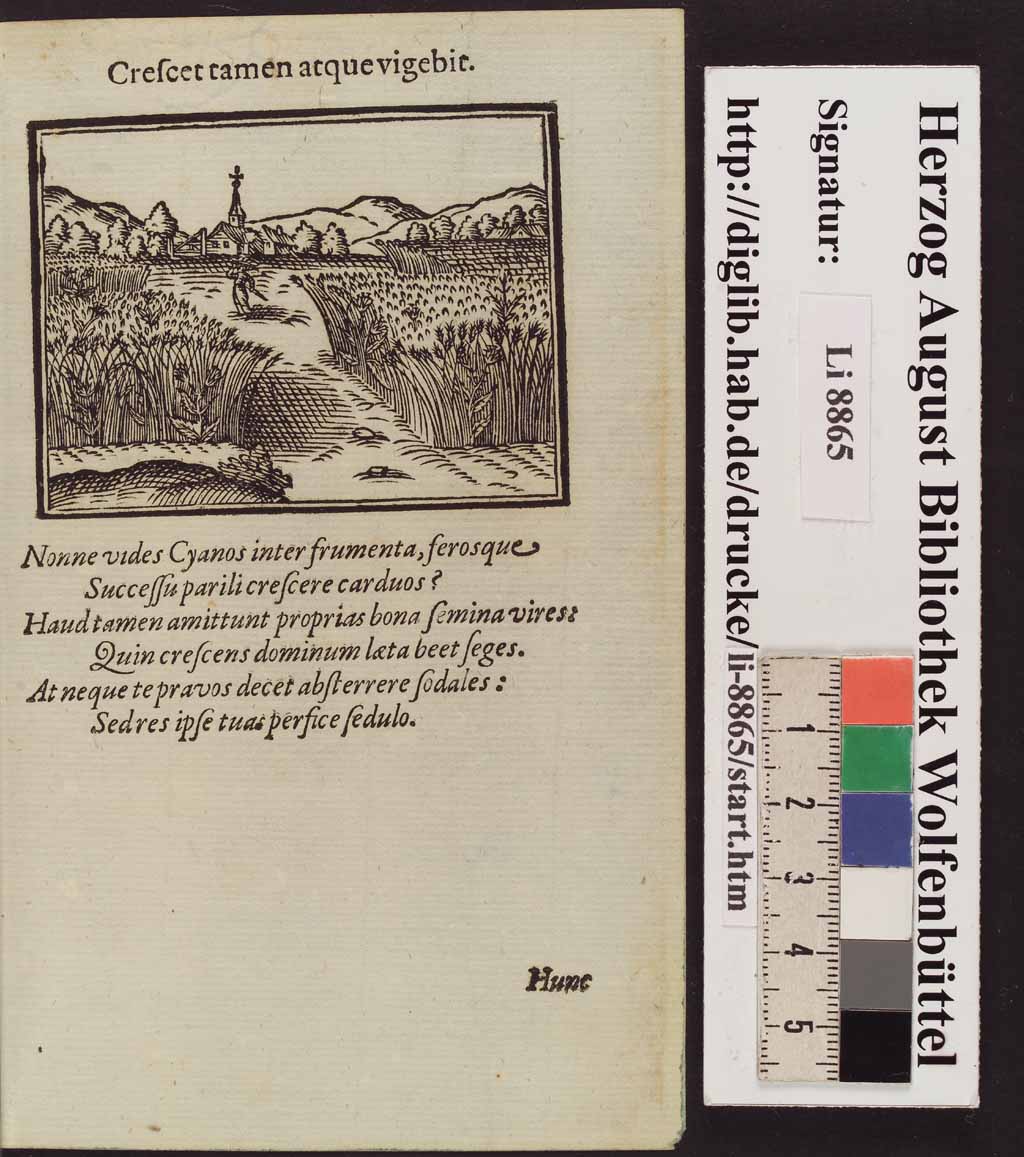 http://diglib.hab.de/drucke/li-8865/00162.jpg