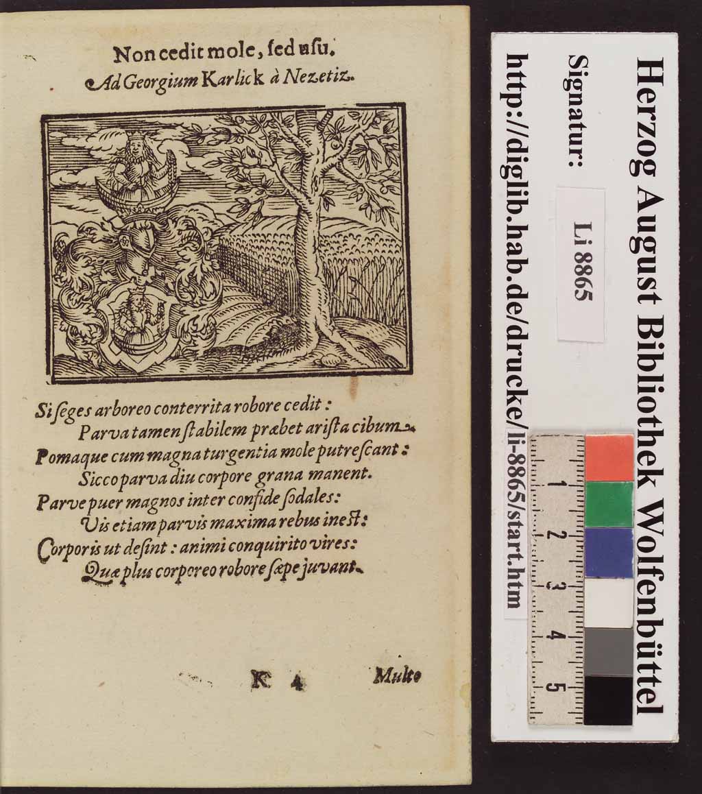 http://diglib.hab.de/drucke/li-8865/00204.jpg
