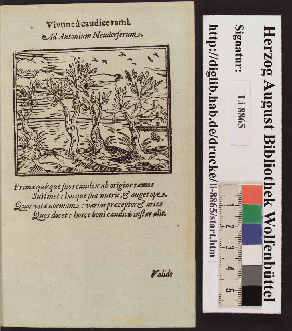http://diglib.hab.de/drucke/li-8865/00274.jpg