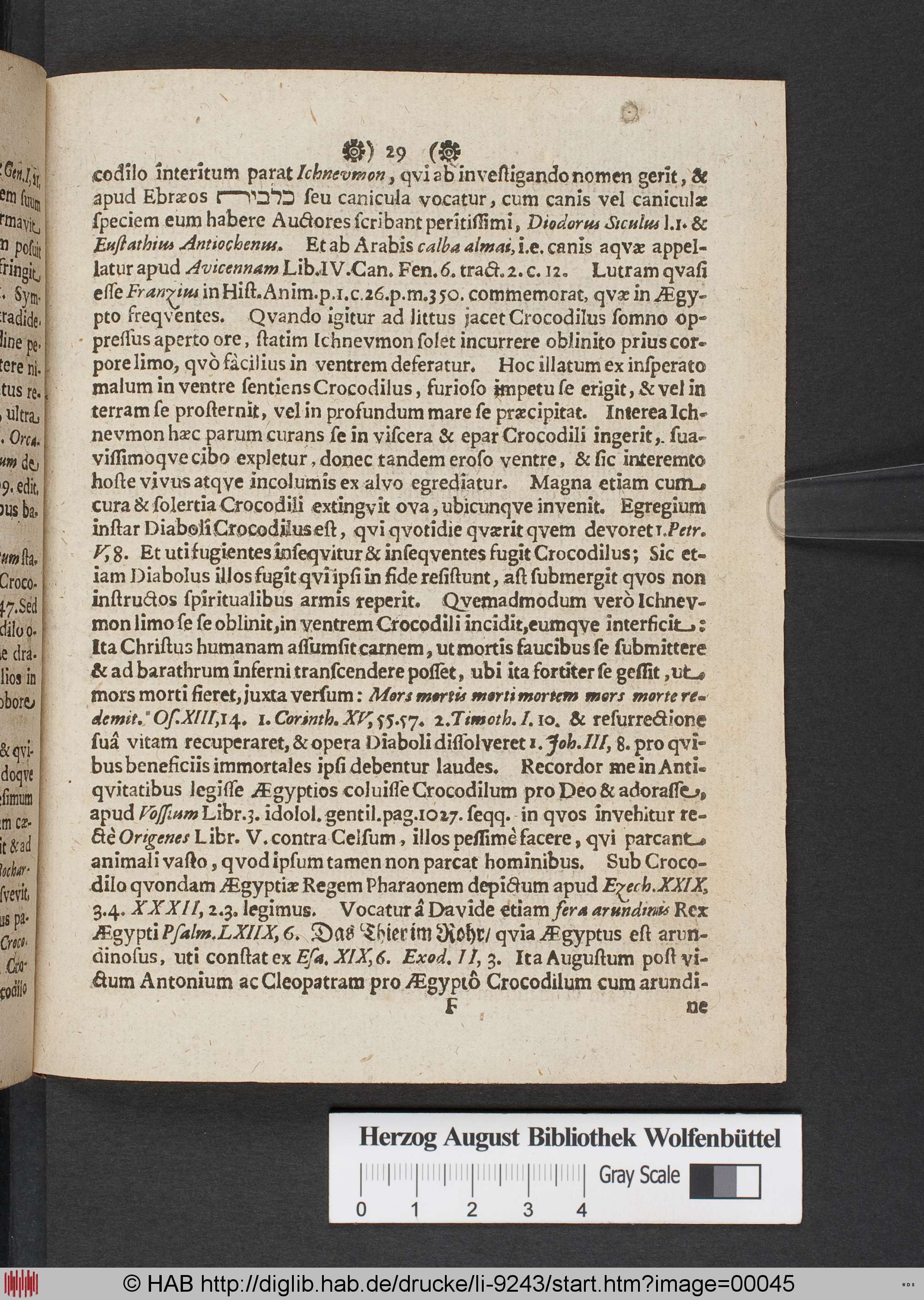 http://diglib.hab.de/drucke/li-9243/max/00045.jpg