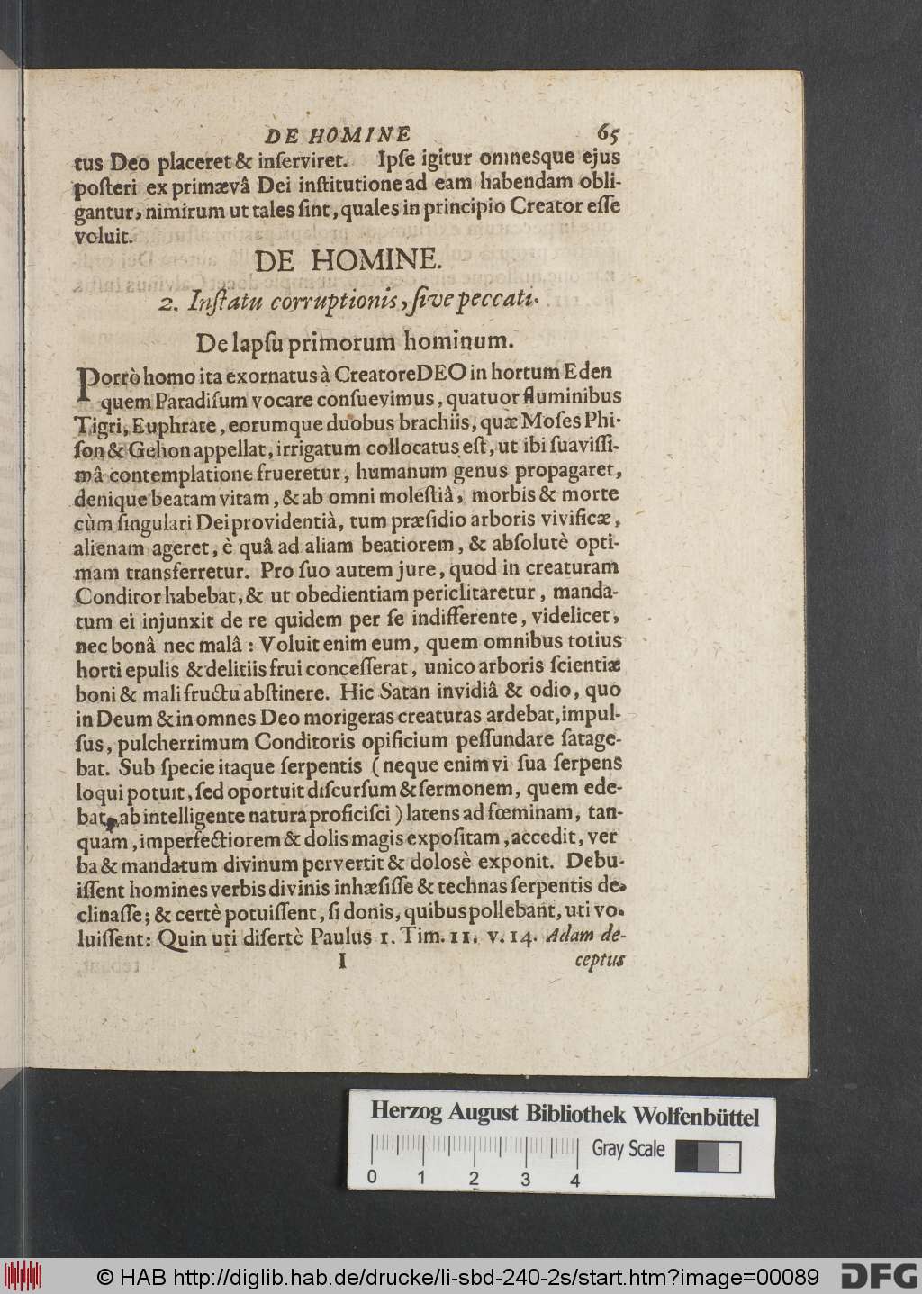 http://diglib.hab.de/drucke/li-sbd-240-2s/00089.jpg