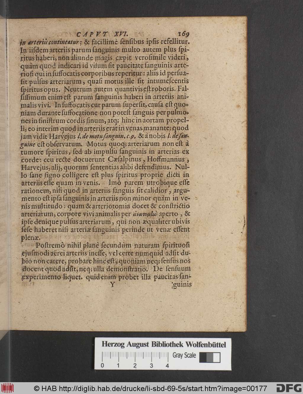 http://diglib.hab.de/drucke/li-sbd-69-5s/00177.jpg