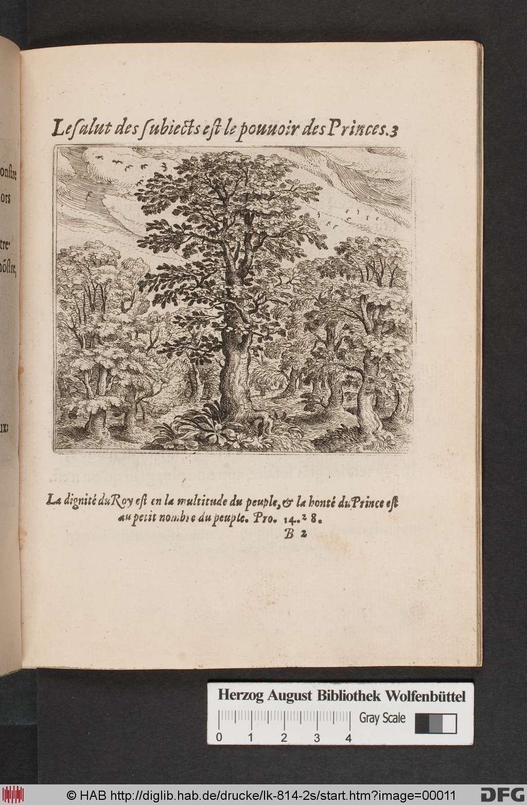 http://diglib.hab.de/drucke/lk-814-2s/00011.jpg