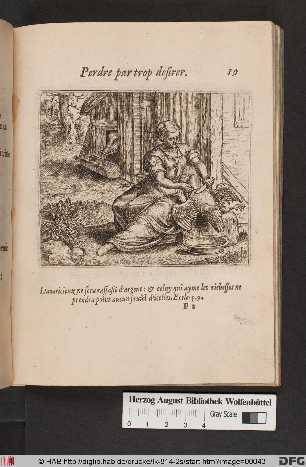 http://diglib.hab.de/drucke/lk-814-2s/00043.jpg