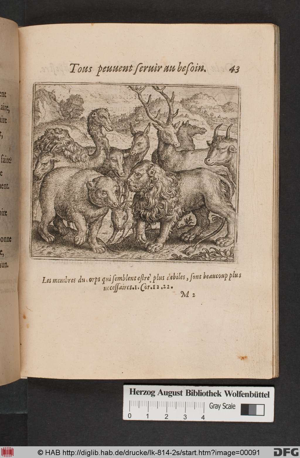 http://diglib.hab.de/drucke/lk-814-2s/00091.jpg