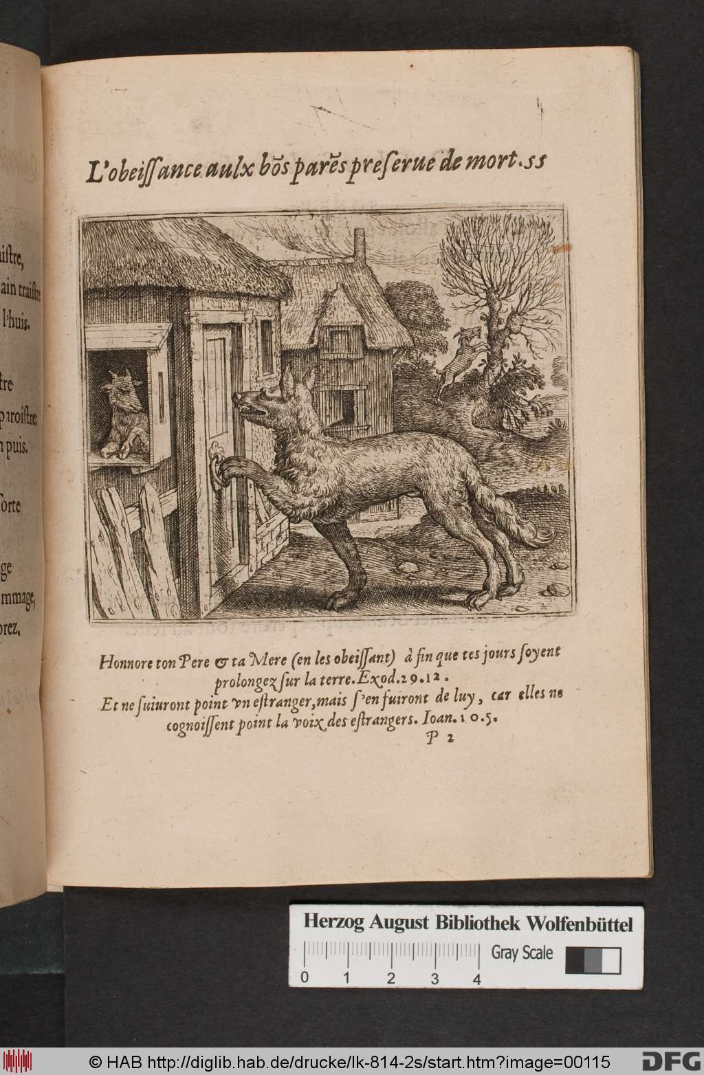 http://diglib.hab.de/drucke/lk-814-2s/00115.jpg