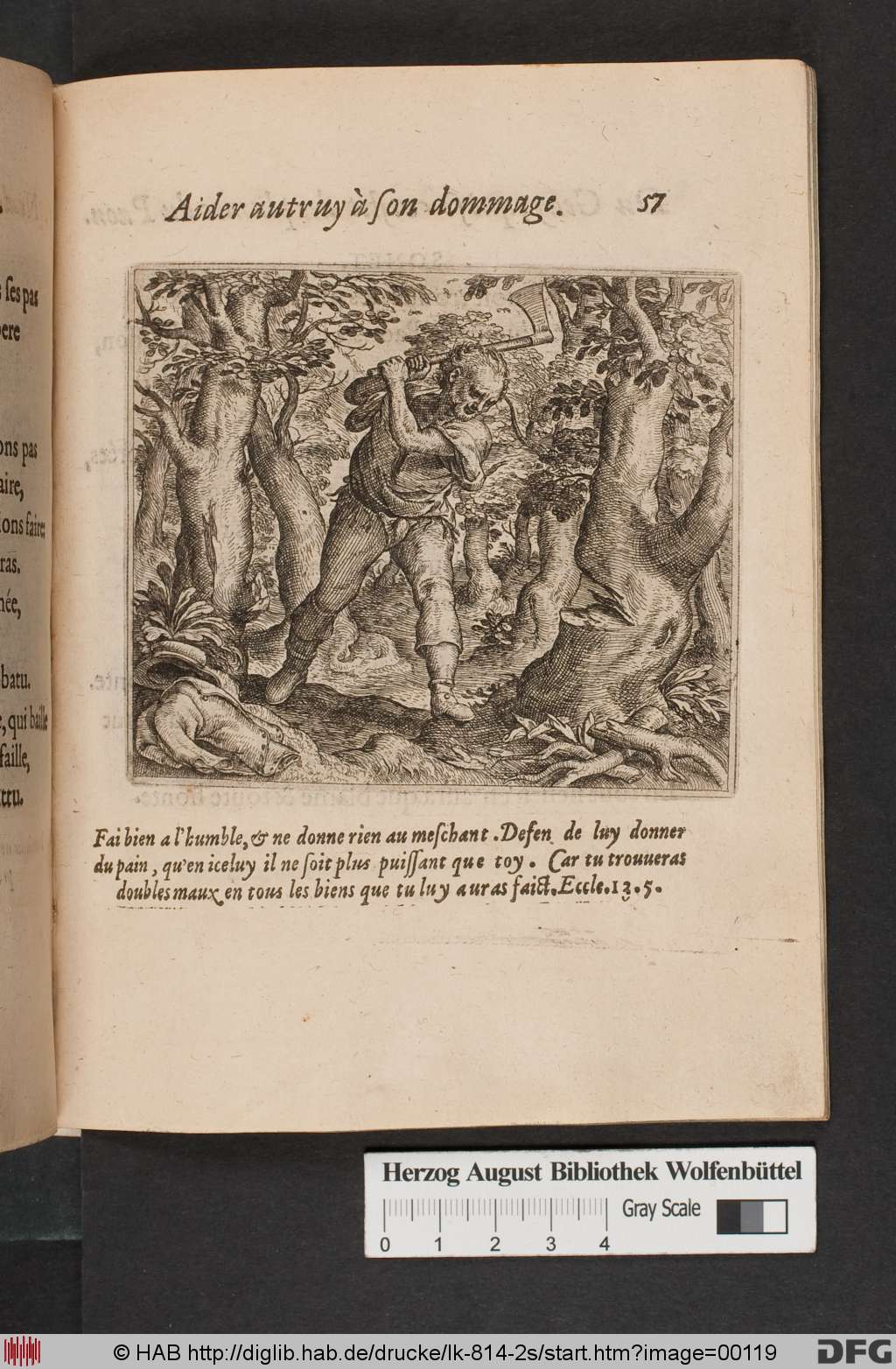 http://diglib.hab.de/drucke/lk-814-2s/00119.jpg