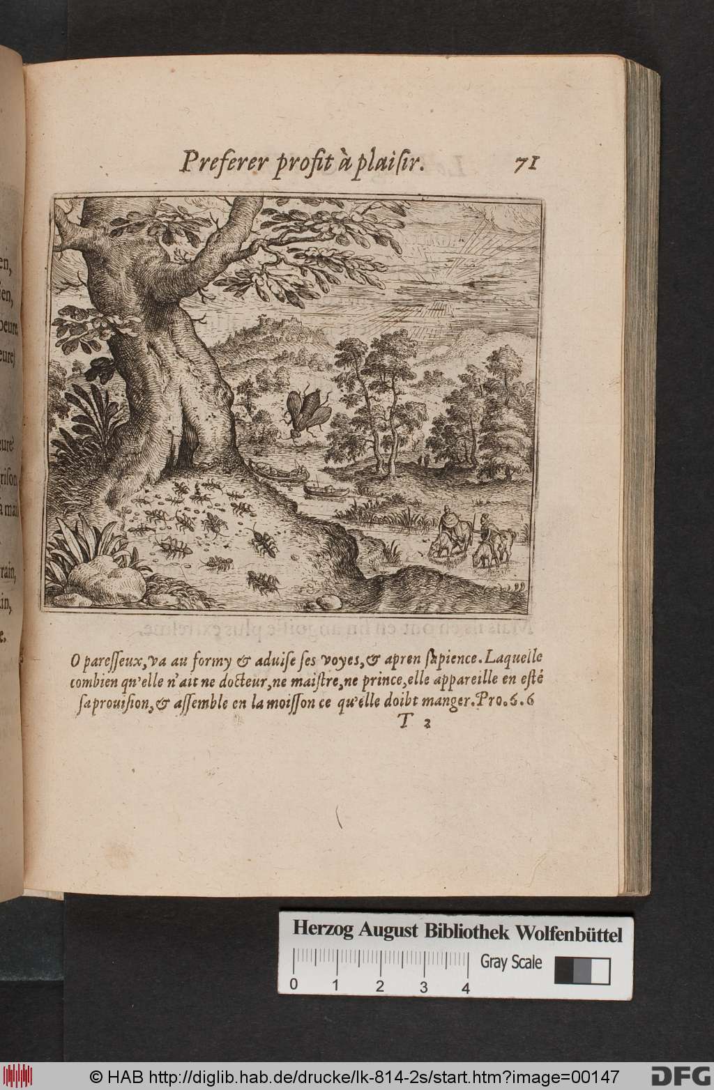 http://diglib.hab.de/drucke/lk-814-2s/00147.jpg