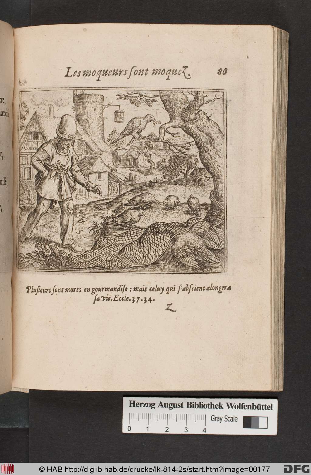 http://diglib.hab.de/drucke/lk-814-2s/00177.jpg