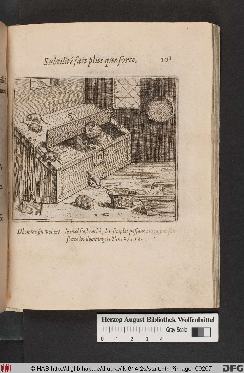 http://diglib.hab.de/drucke/lk-814-2s/00207.jpg