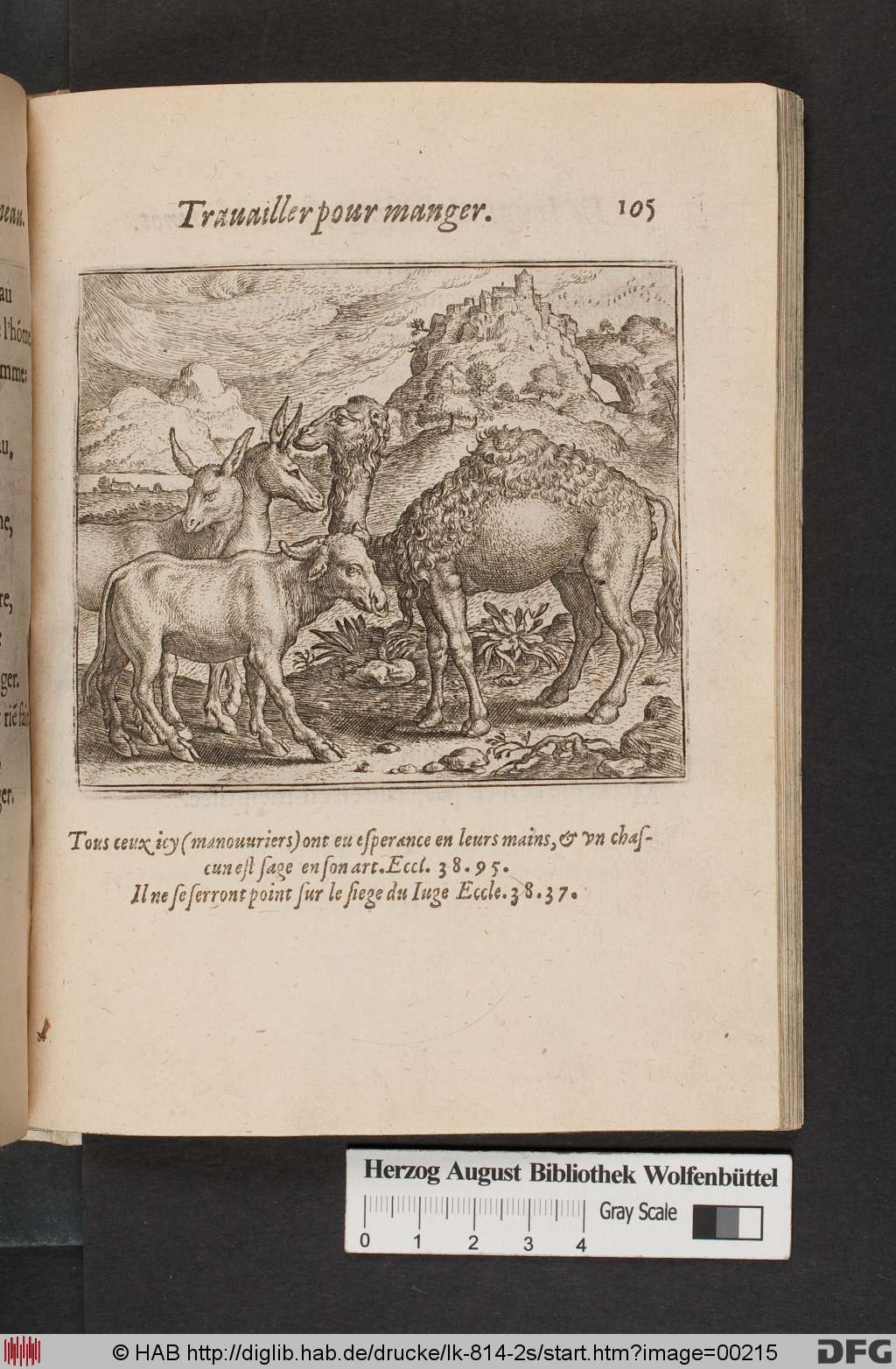 http://diglib.hab.de/drucke/lk-814-2s/00215.jpg