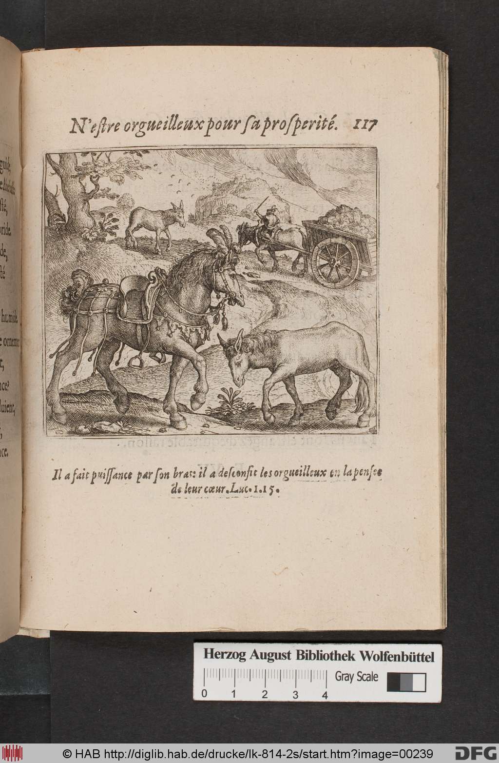 http://diglib.hab.de/drucke/lk-814-2s/00239.jpg