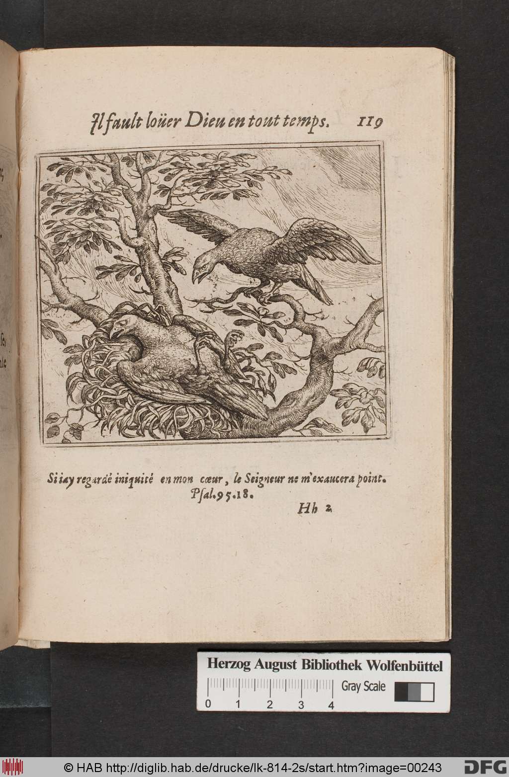 http://diglib.hab.de/drucke/lk-814-2s/00243.jpg