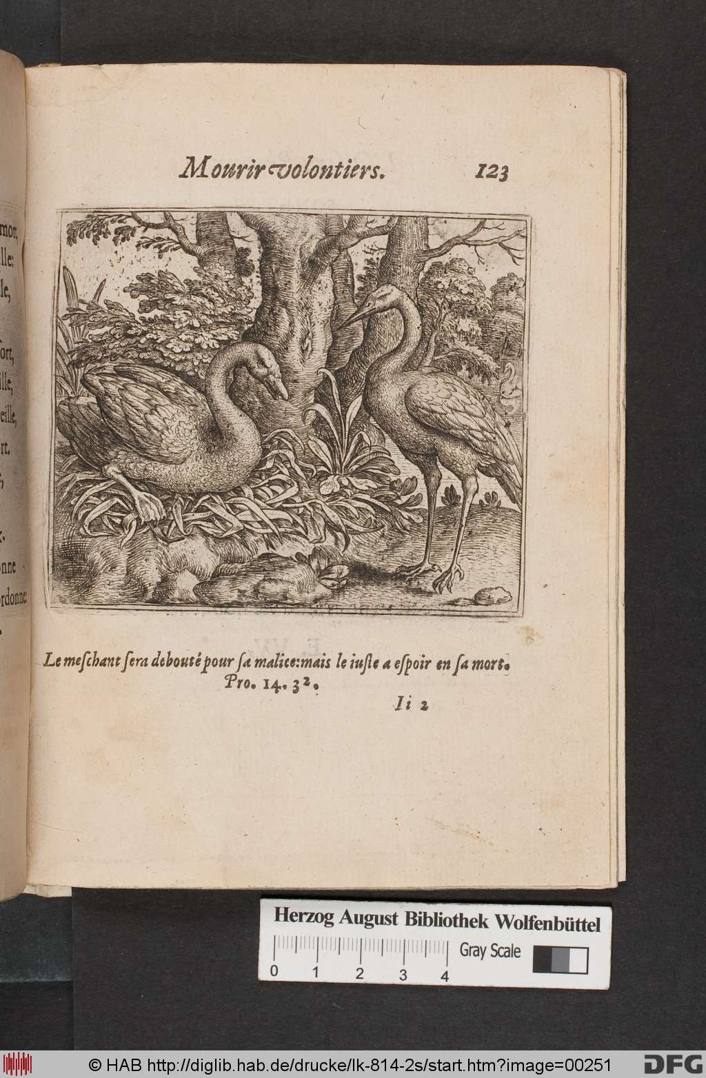 http://diglib.hab.de/drucke/lk-814-2s/00251.jpg