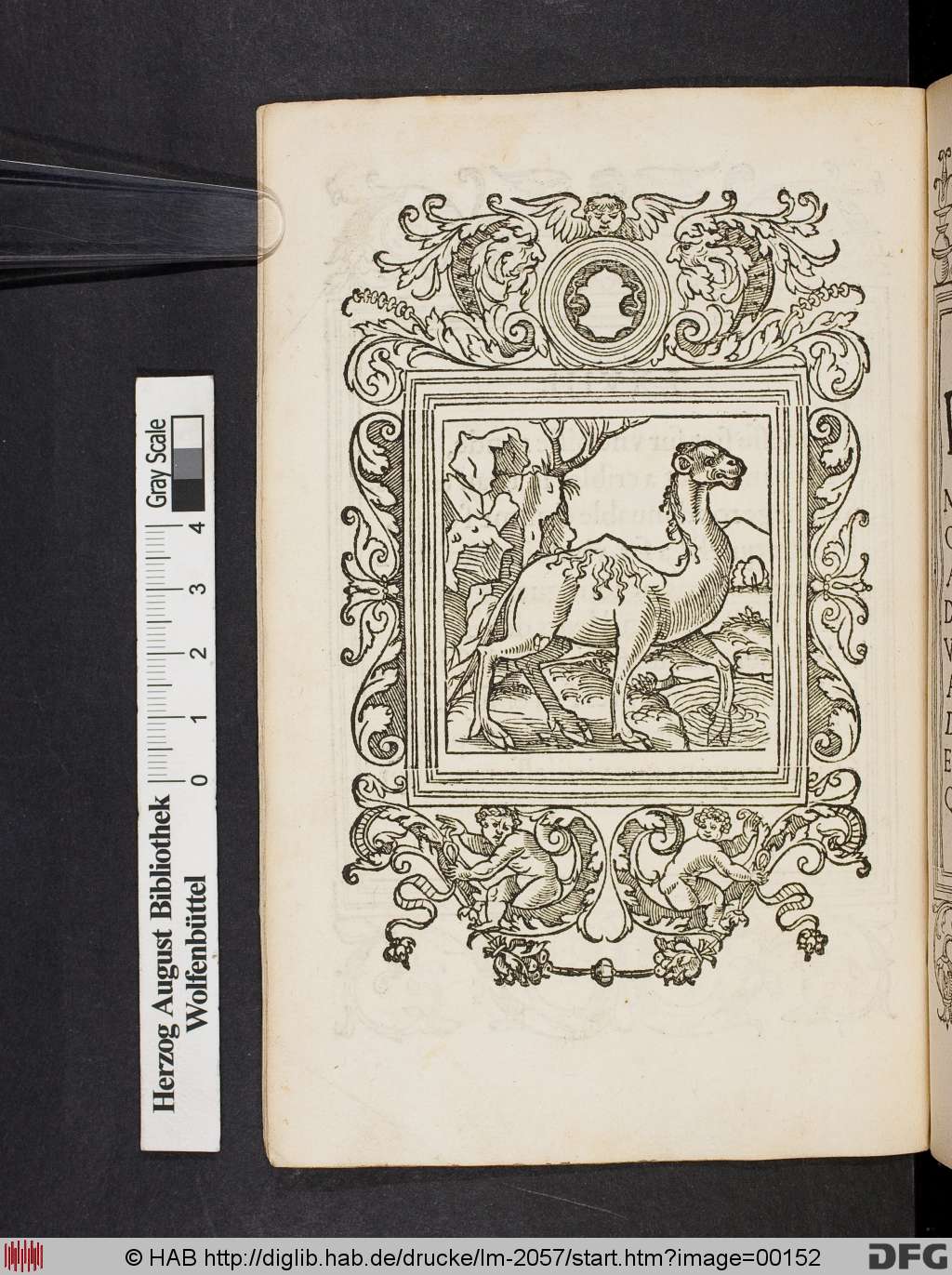 http://diglib.hab.de/drucke/lm-2057/00152.jpg