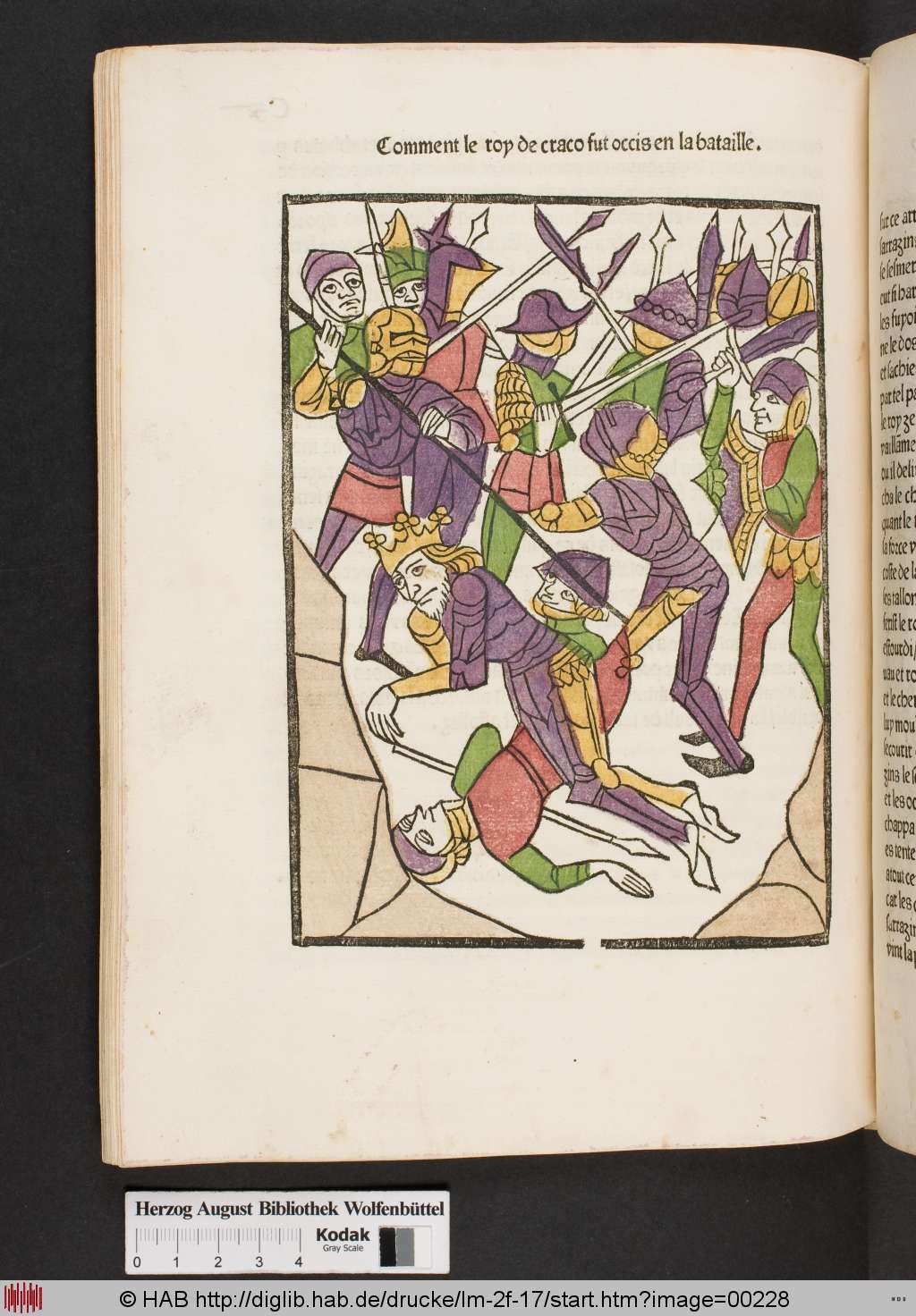http://diglib.hab.de/drucke/lm-2f-17/00228.jpg