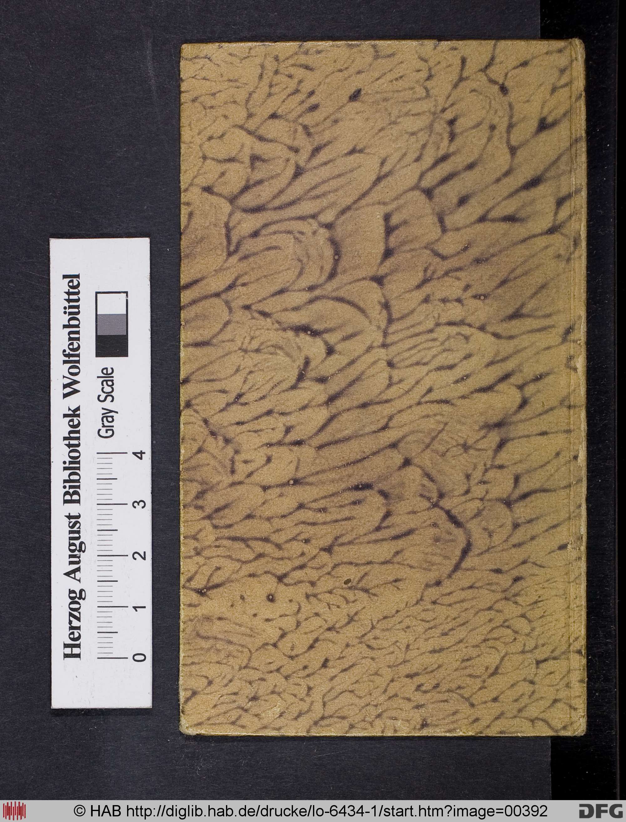 http://diglib.hab.de/drucke/lo-6434-1/max/00392.jpg