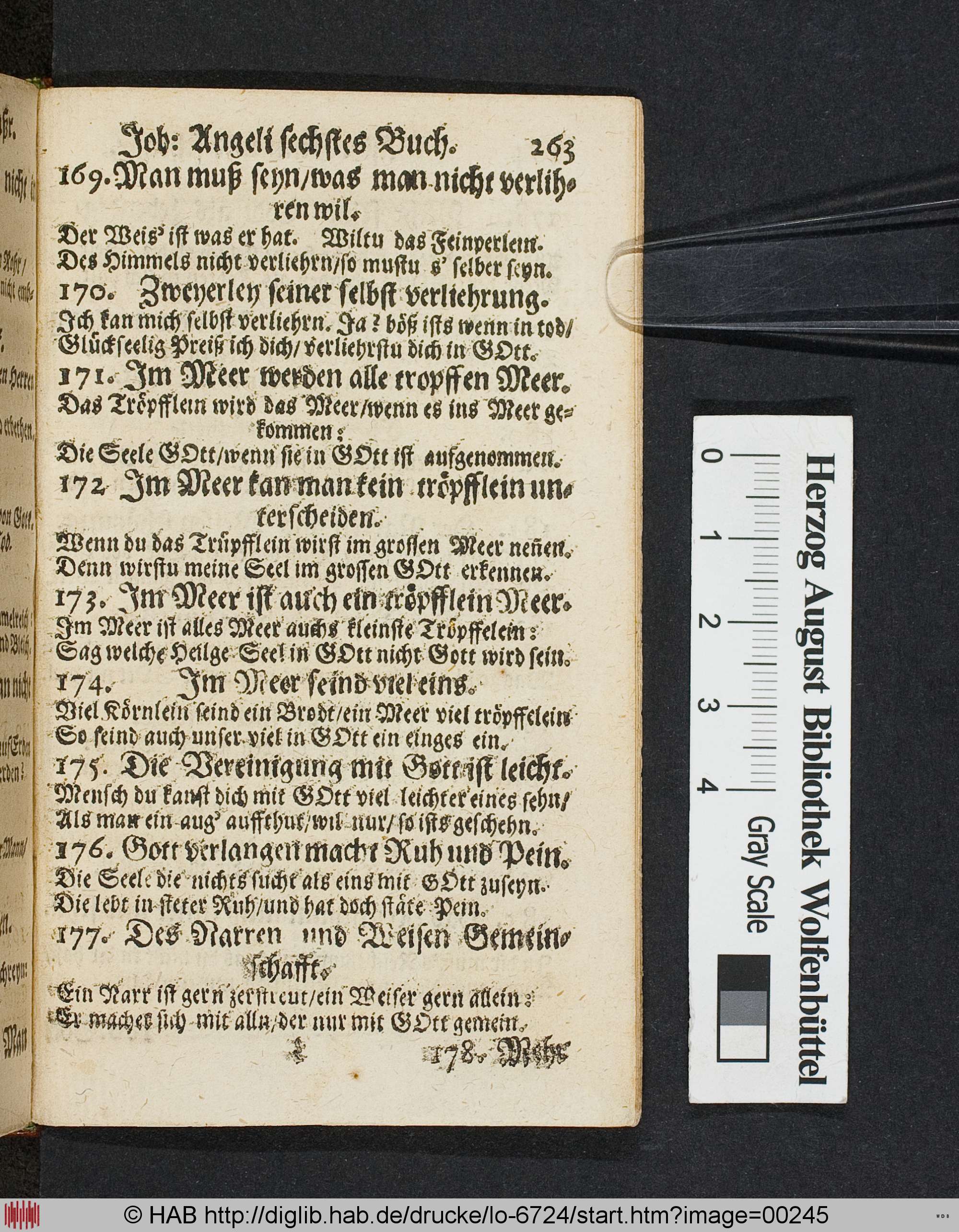 http://diglib.hab.de/drucke/lo-6724/max/00245.jpg