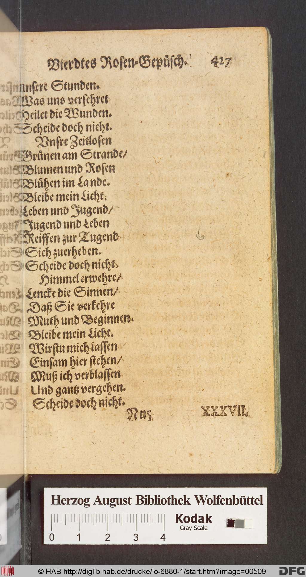 http://diglib.hab.de/drucke/lo-6880-1/00509.jpg