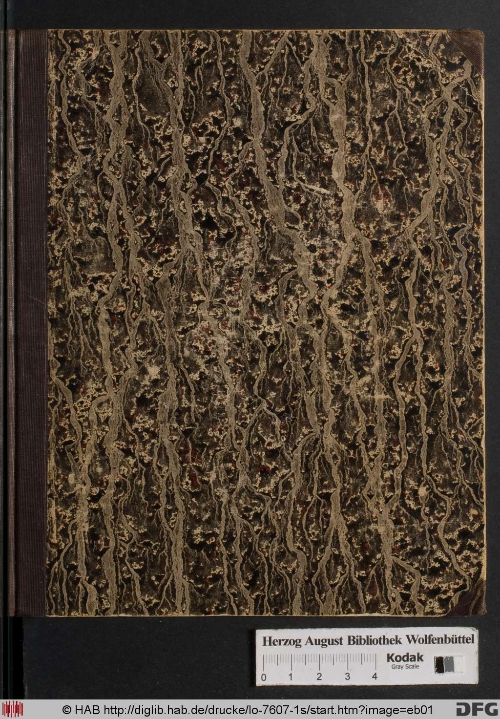 http://diglib.hab.de/drucke/lo-7607-1s/eb01.jpg