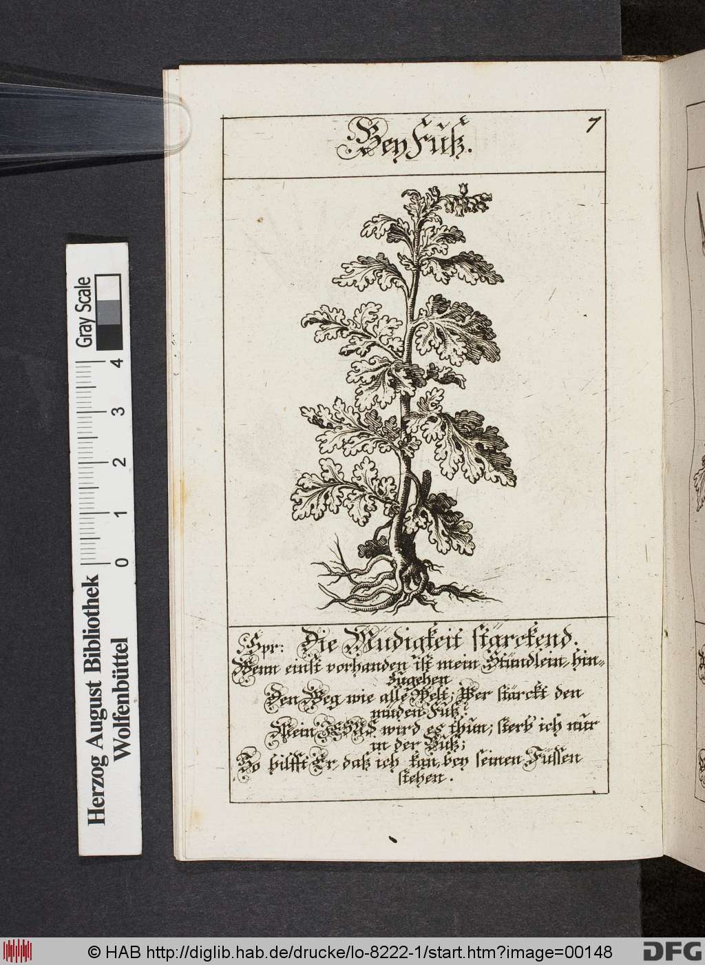 http://diglib.hab.de/drucke/lo-8222-1/00148.jpg