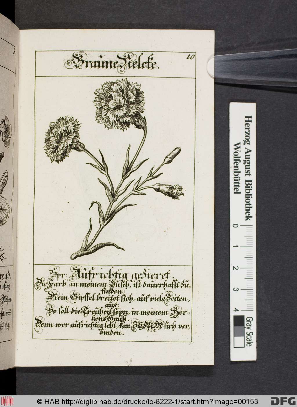 http://diglib.hab.de/drucke/lo-8222-1/00153.jpg