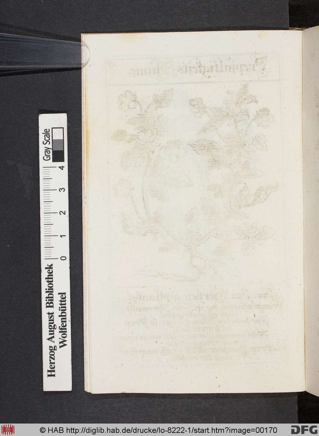 http://diglib.hab.de/drucke/lo-8222-1/00170.jpg