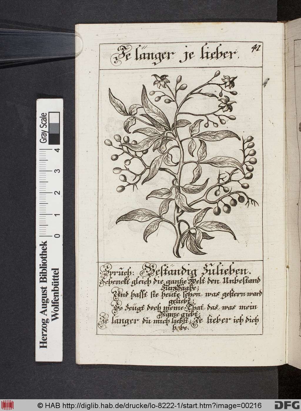 http://diglib.hab.de/drucke/lo-8222-1/00216.jpg