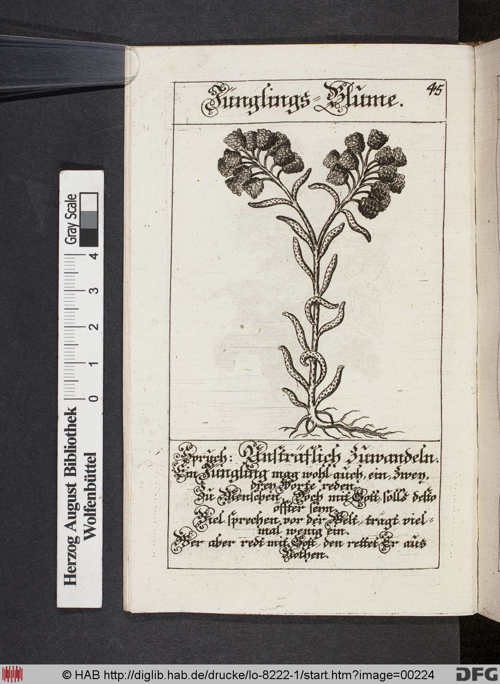 http://diglib.hab.de/drucke/lo-8222-1/00224.jpg