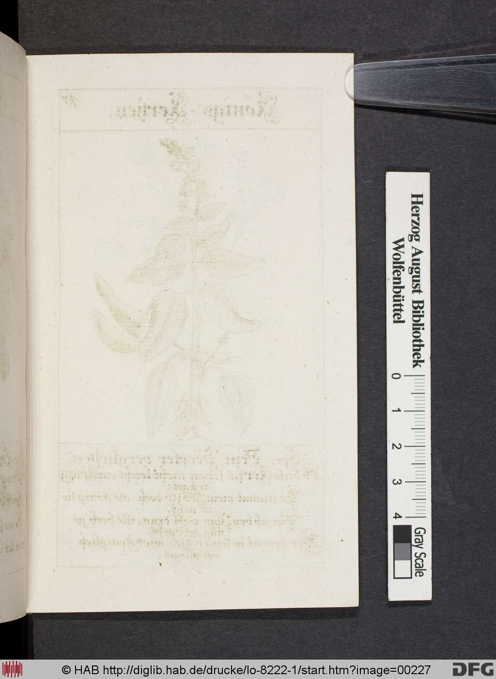 http://diglib.hab.de/drucke/lo-8222-1/00227.jpg