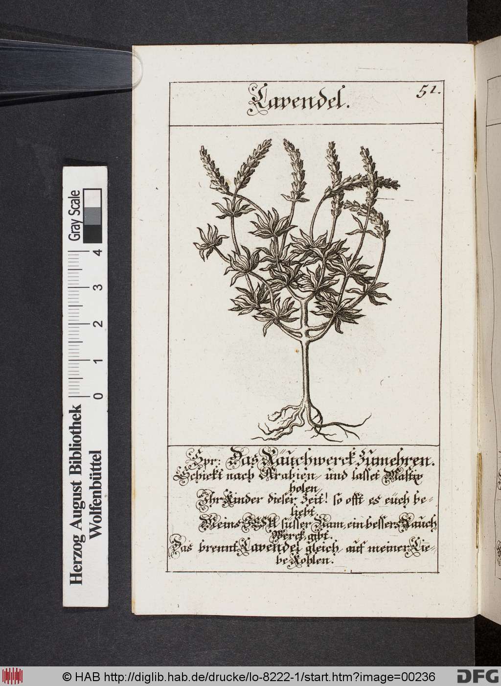 http://diglib.hab.de/drucke/lo-8222-1/00236.jpg