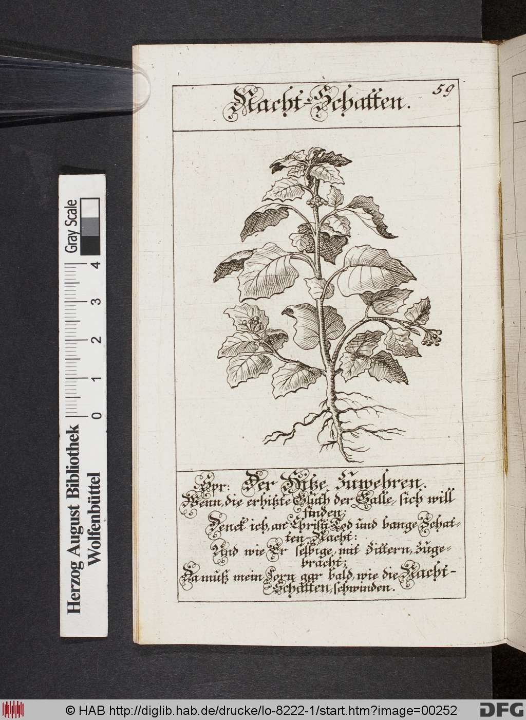 http://diglib.hab.de/drucke/lo-8222-1/00252.jpg