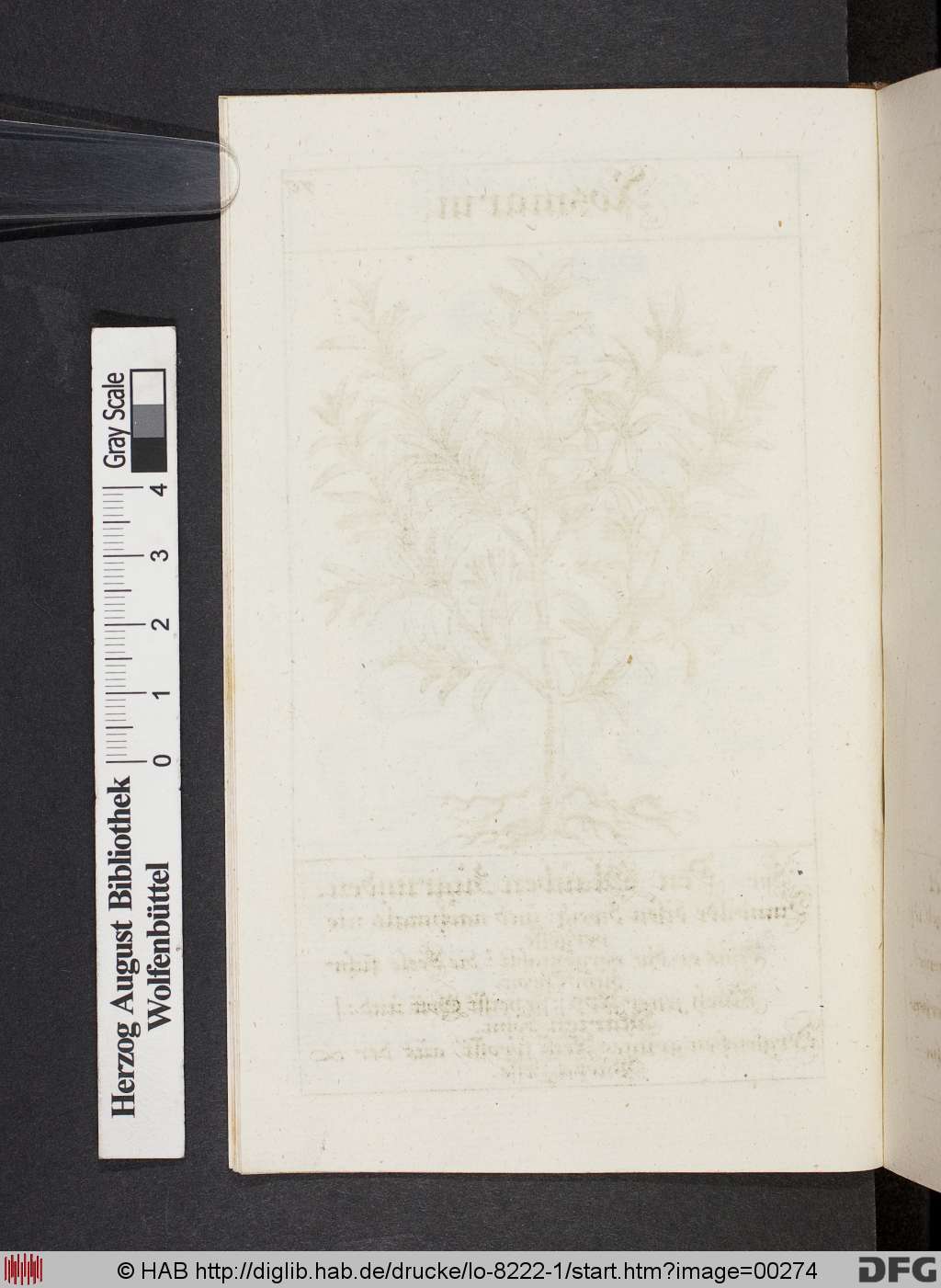 http://diglib.hab.de/drucke/lo-8222-1/00274.jpg