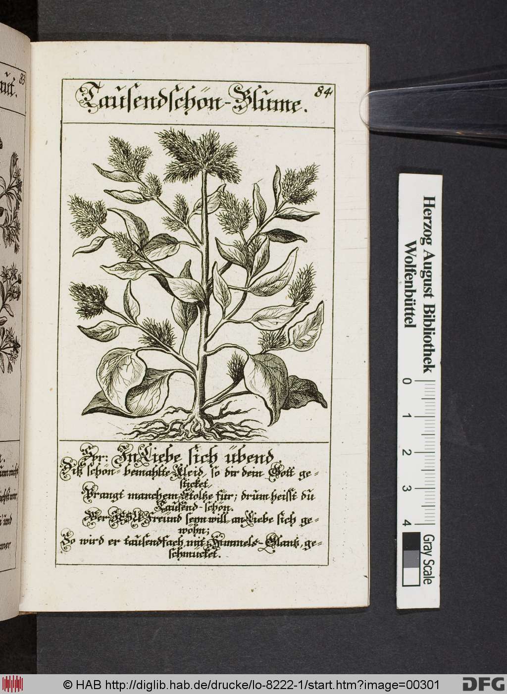 http://diglib.hab.de/drucke/lo-8222-1/00301.jpg