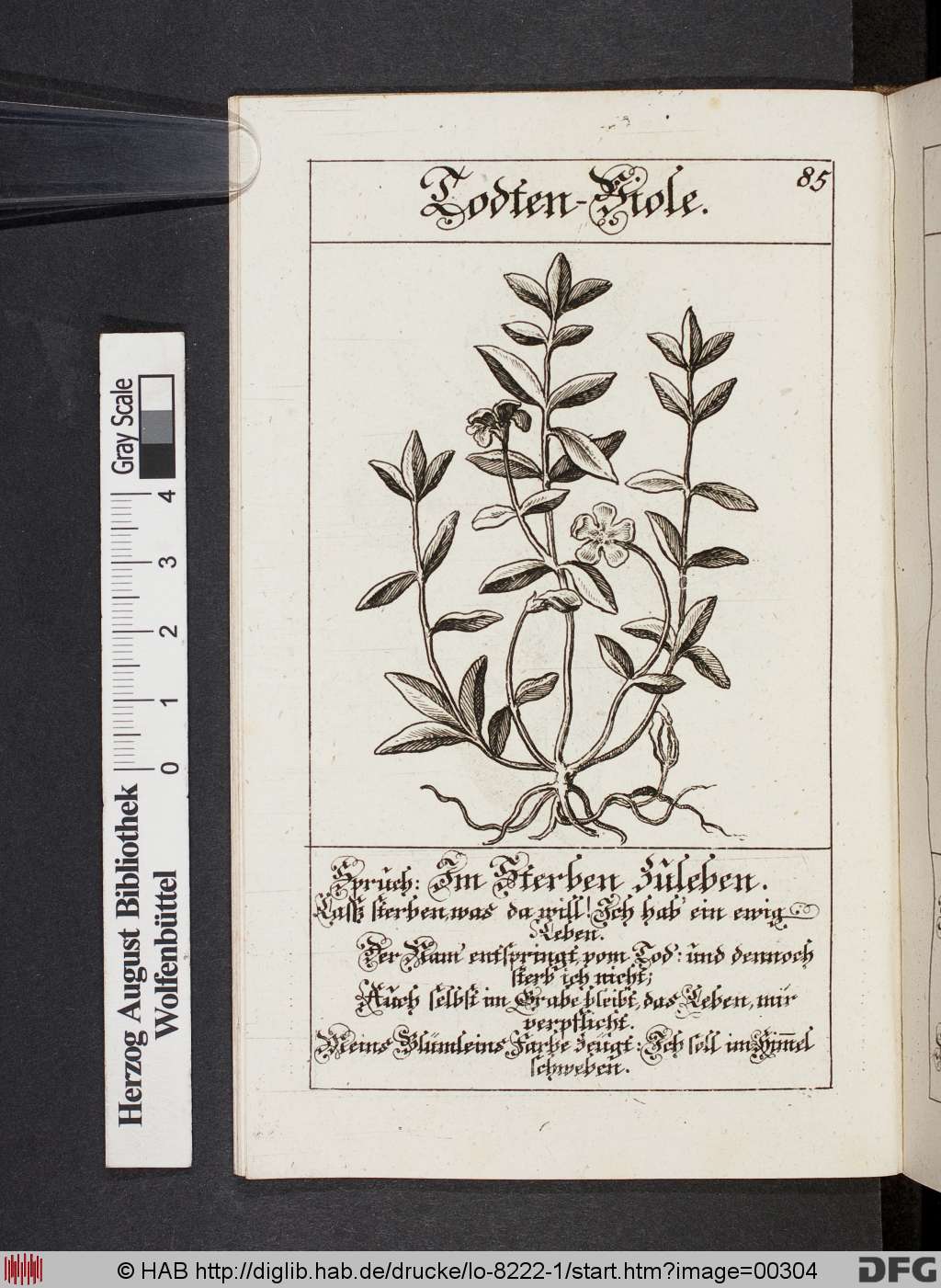 http://diglib.hab.de/drucke/lo-8222-1/00304.jpg