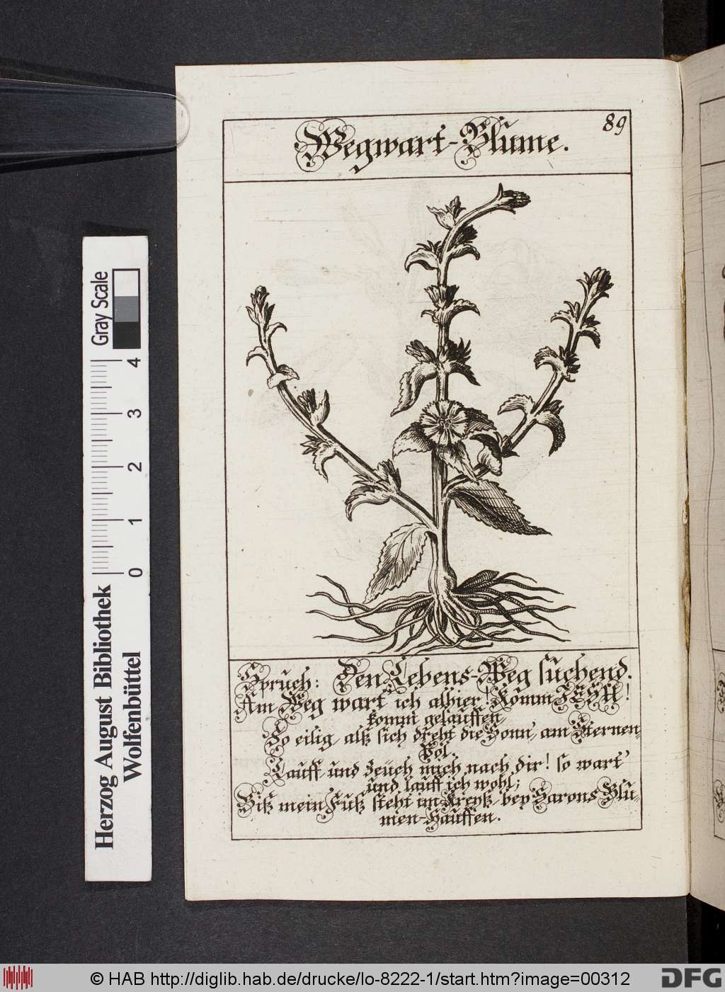 http://diglib.hab.de/drucke/lo-8222-1/00312.jpg