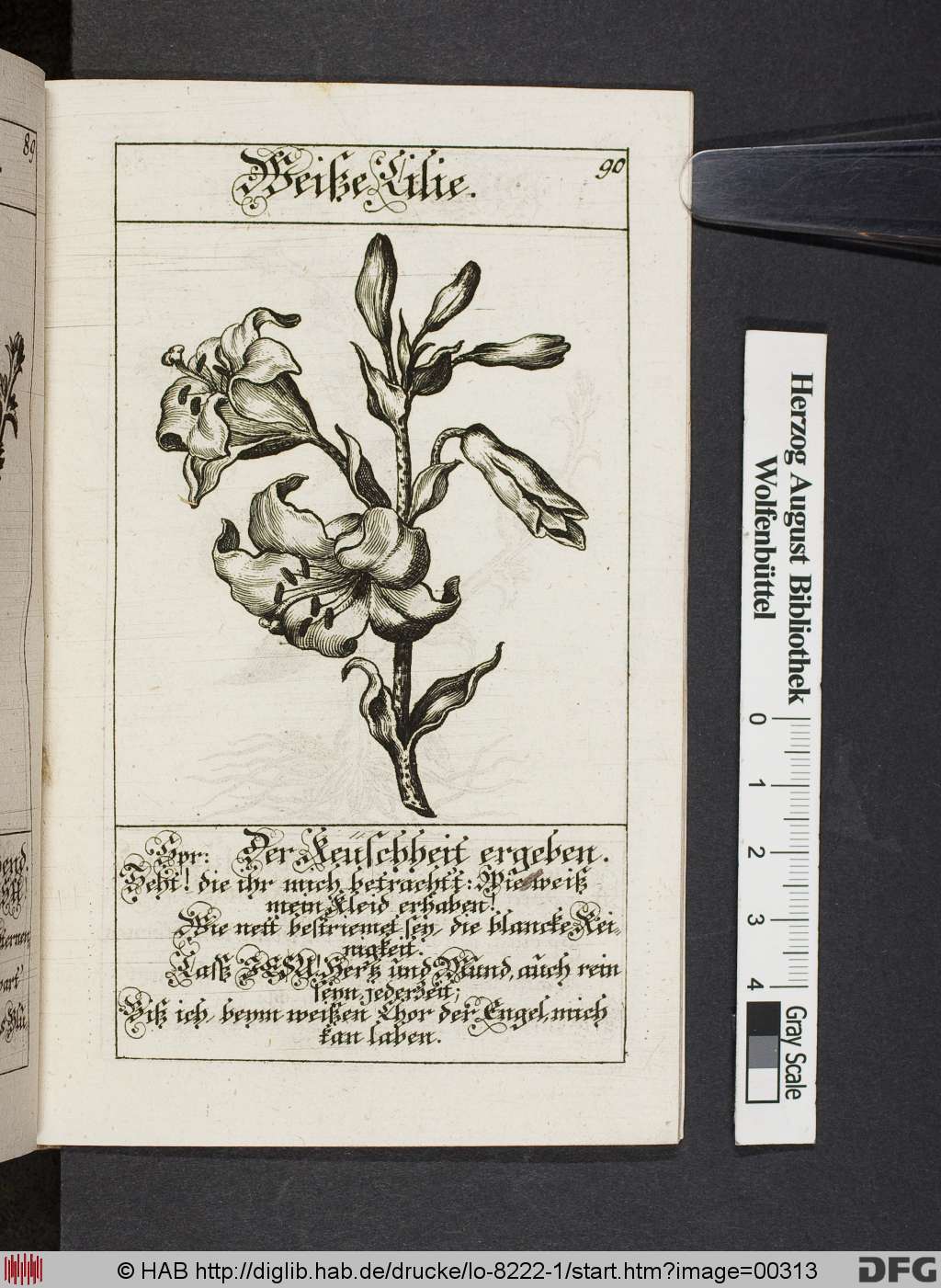 http://diglib.hab.de/drucke/lo-8222-1/00313.jpg