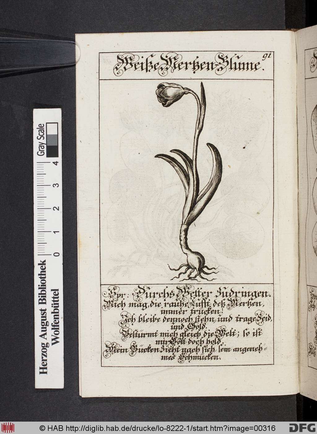 http://diglib.hab.de/drucke/lo-8222-1/00316.jpg