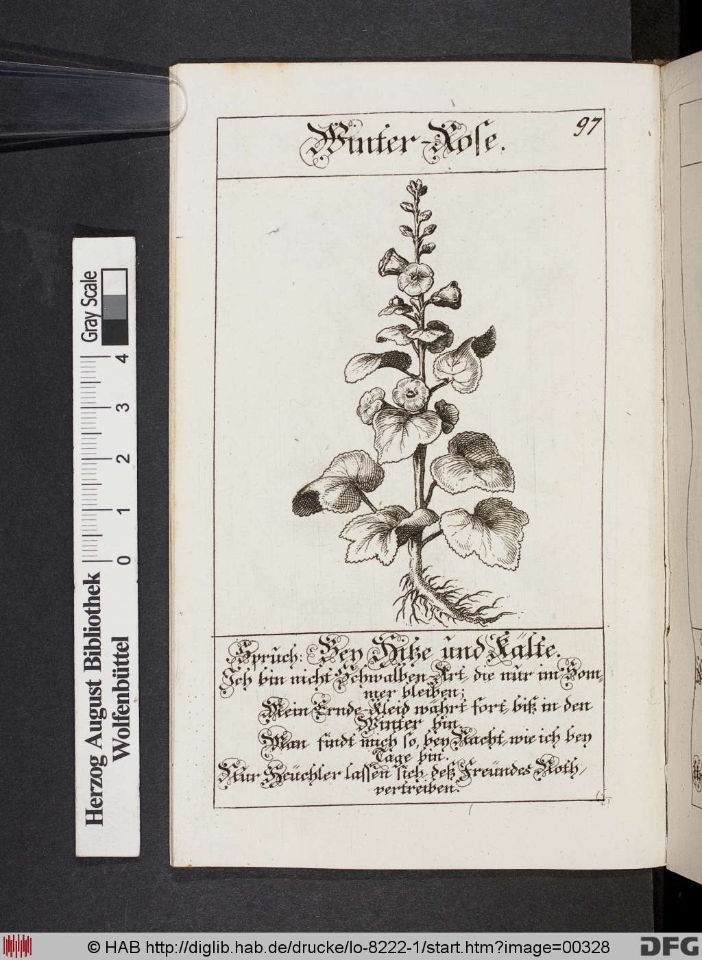 http://diglib.hab.de/drucke/lo-8222-1/00328.jpg