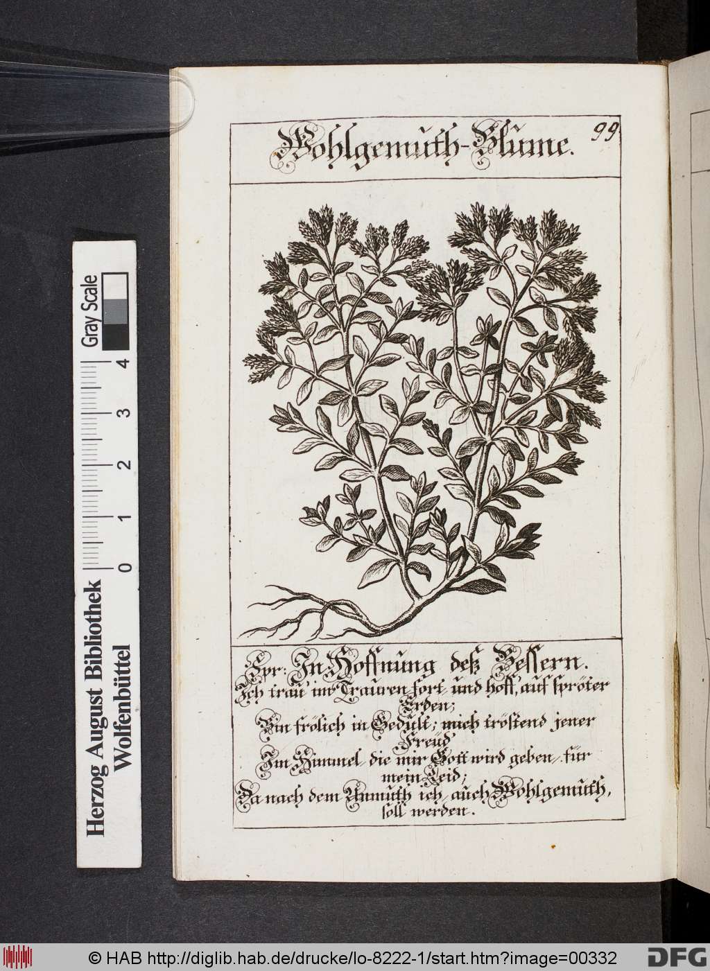 http://diglib.hab.de/drucke/lo-8222-1/00332.jpg