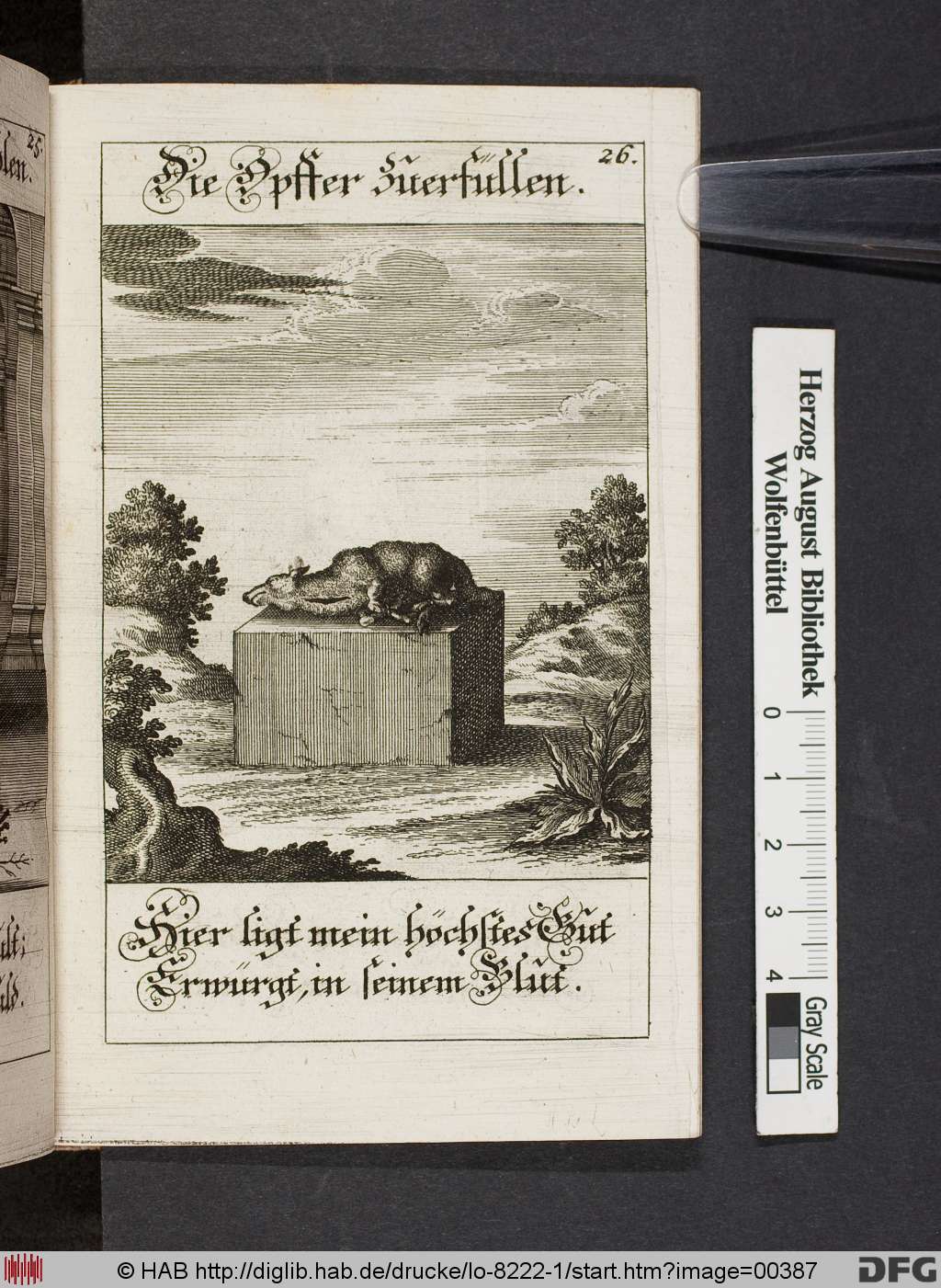 http://diglib.hab.de/drucke/lo-8222-1/00387.jpg